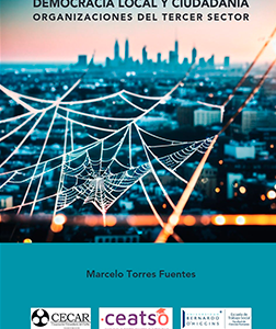 Democracia Local y Ciudadanía Organizaciones del Tercer Sector